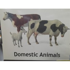 Domestic Animals